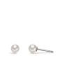 Preview: TeNo Ohrschmuck 595285