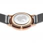 Preview: Bering Damenuhr Classic 13436-369