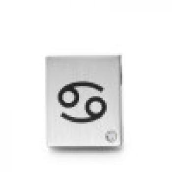 Preview: TeNo Anhänger 0491012Z04 049.1012.Z04