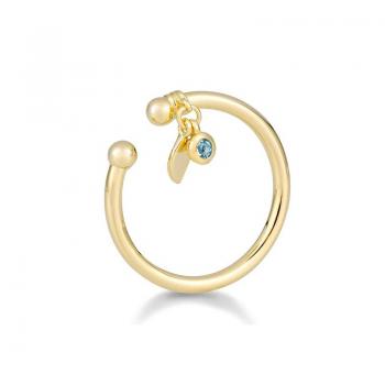 Breuning Ringe 42033900