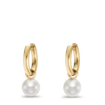 Preview: TeNo Ohrschmuck 597900