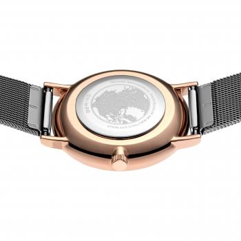 Preview: Bering Damenuhr Classic 13436-369