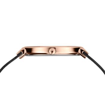 Bering Uhr Classic 14539-166