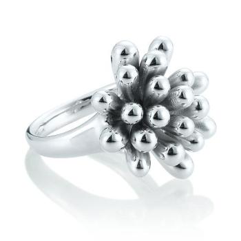 Breuning Ring 44014320