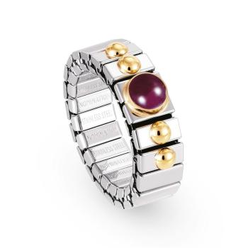 Nomination  Ringe XTE   RUBIN 040102/010