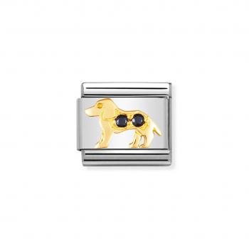 Nomination  Comp Classic   Hund SCHWARZ 030305/22