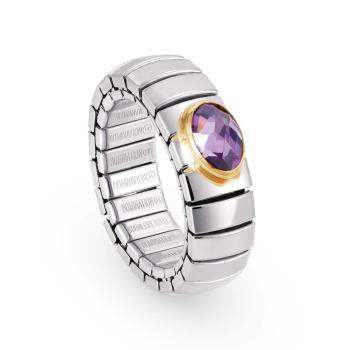Nomination  Ringe XTE   VIOLETT 041510/001