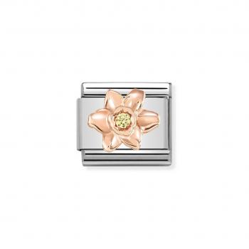 Nomination  COMPOSABLE CLASSIC    430305/13