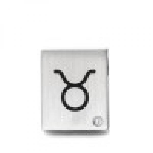 TeNo Anhänger 0491012Z02 049.1012.Z02