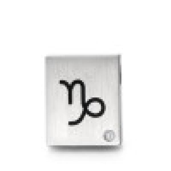 TeNo Anhänger 0491012Z10 049.1012.Z10