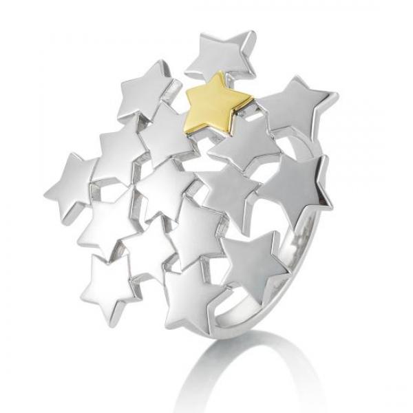 Breuning Ring 44014350